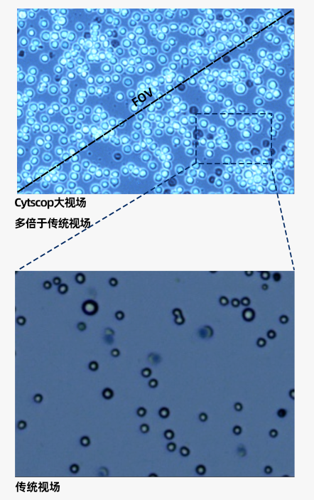 图片 4.png