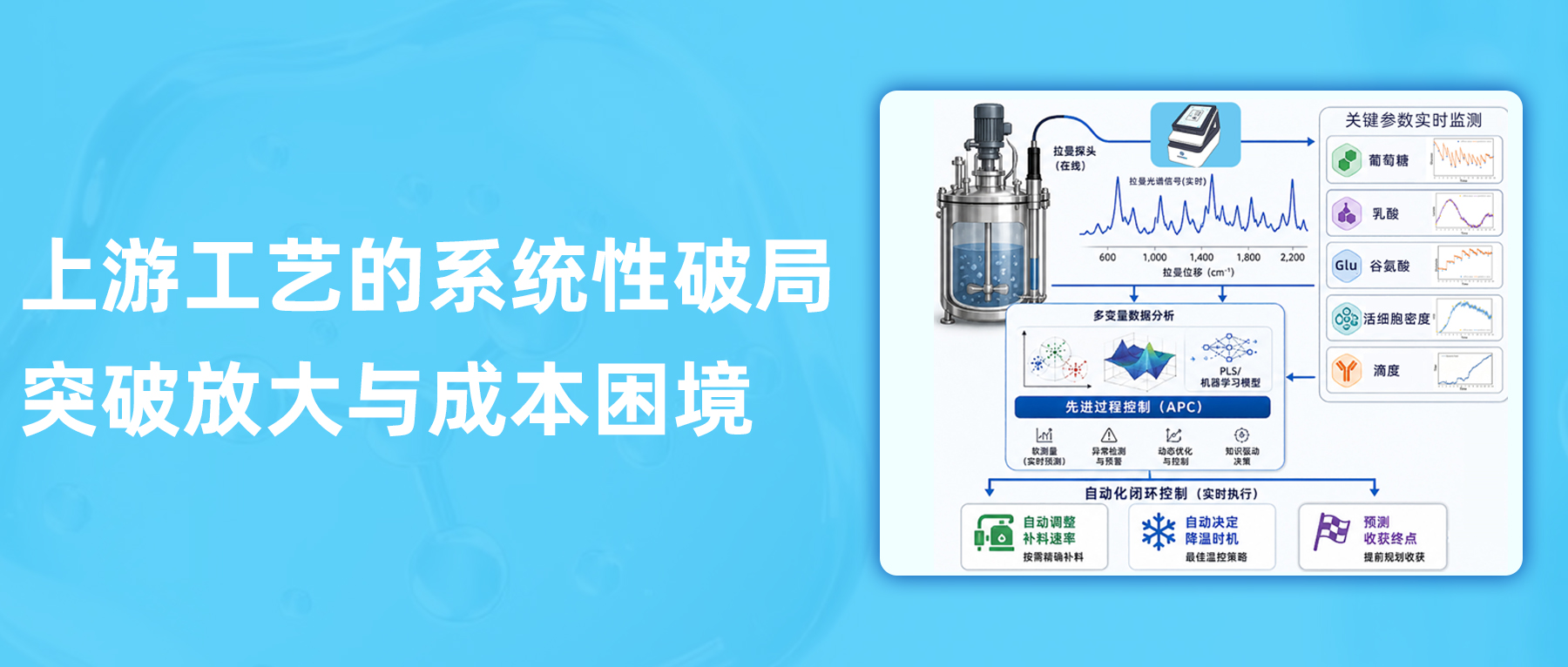 上游工艺的系统性破局:突破放大与成本困境