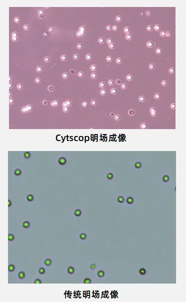 c31731b642c68a9d047554aa1901597.png