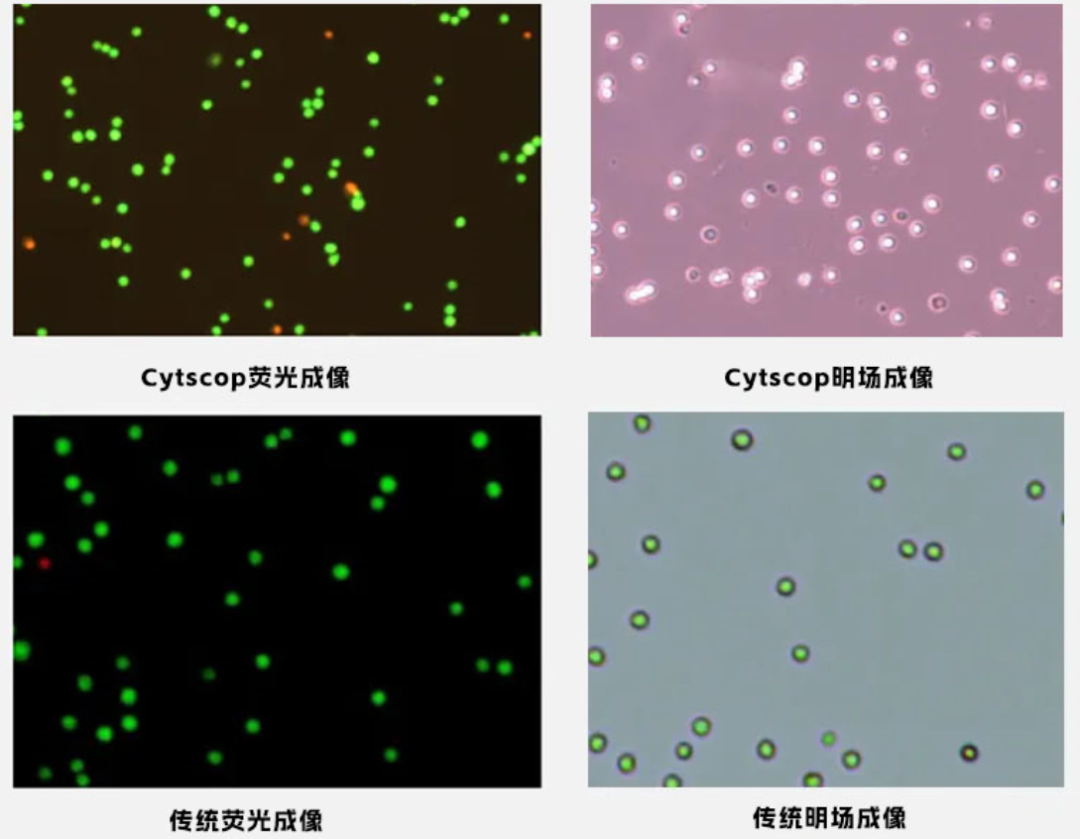 图片 4.png 图片 4.png