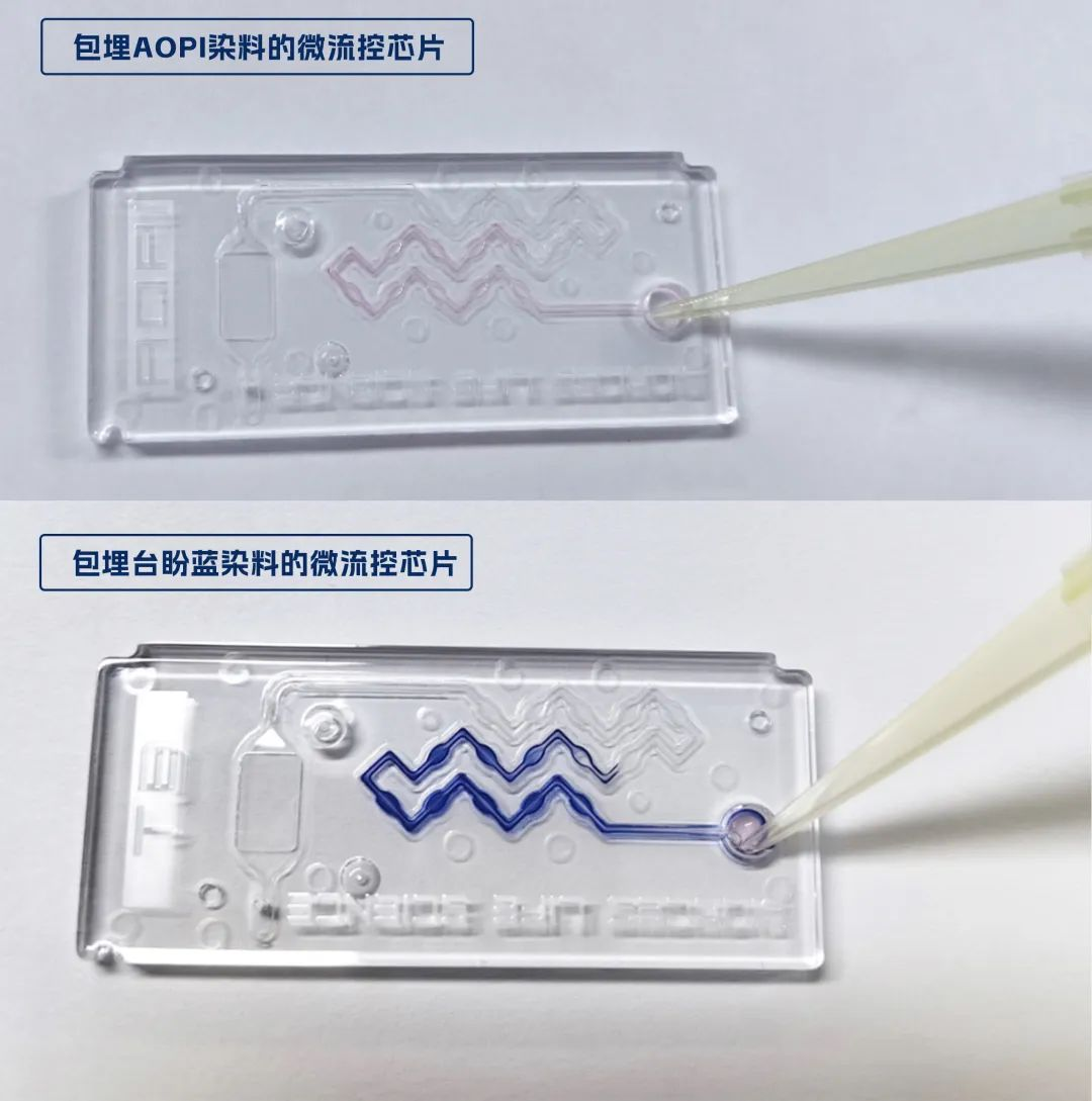 图片 6.png