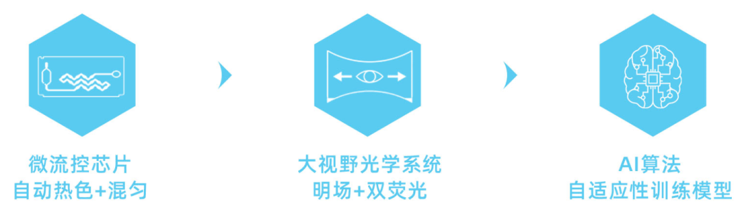 图片 7.png