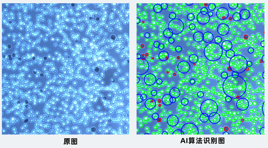 图片 4.png