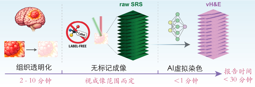 图片 6.png